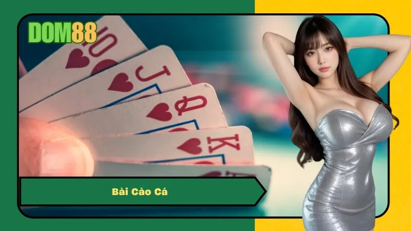 Hướng Dẫn Chơi Bài Cào Cá 3 Lá Luôn Thắng