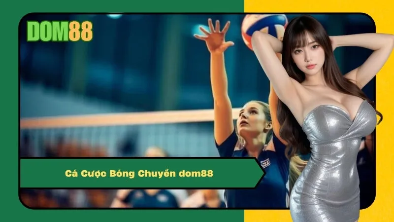 Cá Cược Bóng Chuyền dom88