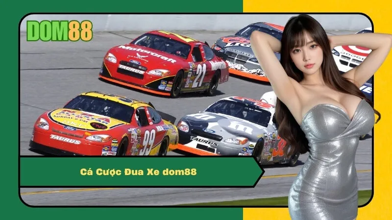 Cá Cược Thể Thao dom88
