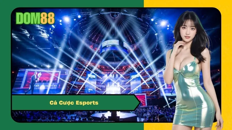 Cá Cược Esports: Hướng Dẫn Đặt Cược Thể Thao Điện Tử Uy Tín