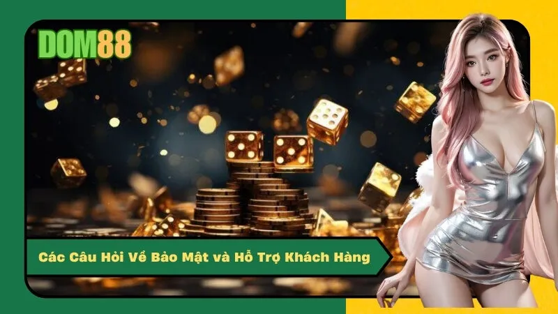 Các Câu Hỏi Về Bảo Mật và Hỗ Trợ Khách Hàng