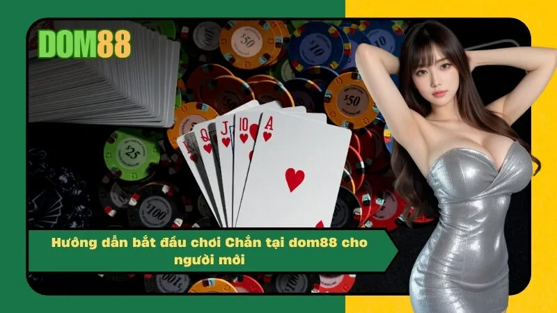 Hướng dẫn bắt đầu chơi Chắn tại dom88 cho người mới