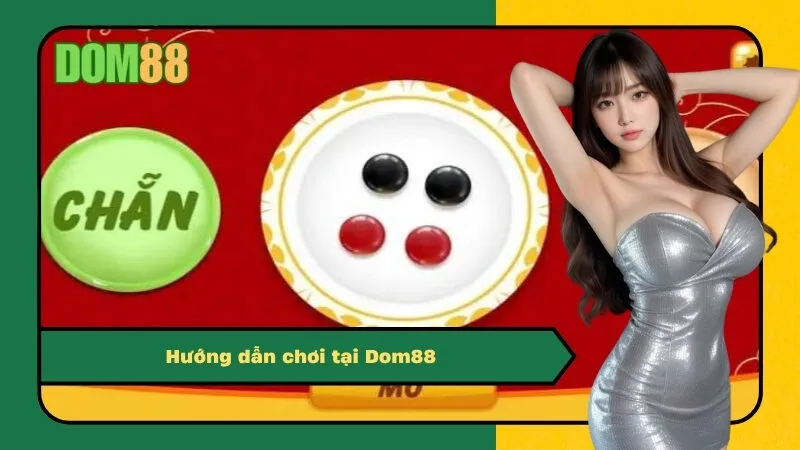 Hướng dẫn chơi tại Dom88