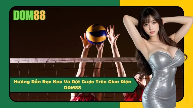 Hướng Dẫn Đọc Kèo Và Đặt Cược Trên Giao Diện DOM88
