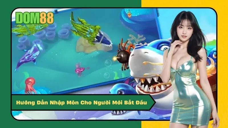 Hướng Dẫn Nhập Môn Cho Người Mới Bắt Đầu