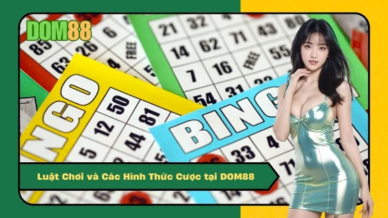Luật Chơi và Các Hình Thức Cược tại DOM88